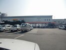 わたなべ生鮮館庭瀬店(スーパー)まで1398m ビーライン川入　A棟