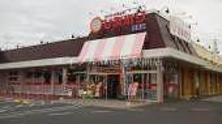 スーパードラッグひまわり(ドラッグストア)まで555m ジョイハウスサクラダ花尻