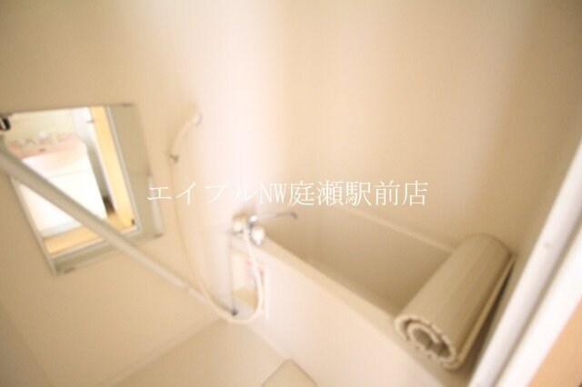  ルミナス・コート