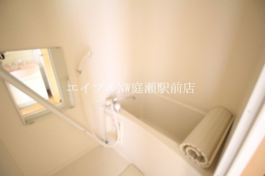  ルミナス・コート