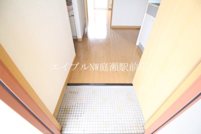  ルミナス・コート