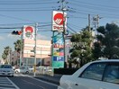 山陽マルナカマスカット店(スーパー)まで1222m 中庄サンプラザＢ