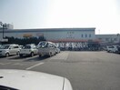 わたなべ生鮮館(スーパー)まで766m グランデヒル