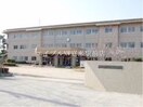 総社市立常盤小学校(小学校)まで744m フォーチューン真壁　C棟