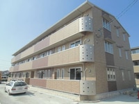 Coral Reef M