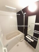  ケイマイティ　Ⅱ