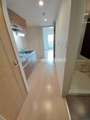  ケイマイティ　Ⅱ