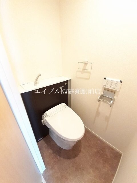  ケイマイティ　Ⅱ