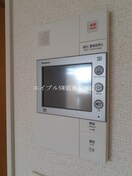  ケイマイティ　Ⅱ