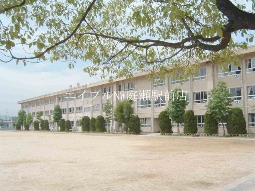 倉敷市立中島小学校(小学校)まで278m Luce