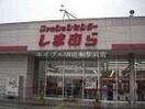 ファッションセンターしまむら下中野店(ショッピングセンター/アウトレットモール)まで364m プレアール下中野