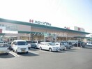 ハローズ庭瀬店(スーパー)まで225m ForRent M1