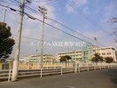 岡山市立大野小学校(小学校)まで436m パッシオデウス上法事