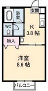 パシフィック　Ａ棟 1Kの間取り