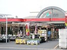 ナンバ倉敷店(電気量販店/ホームセンター)まで895m ハッピーハイツA棟