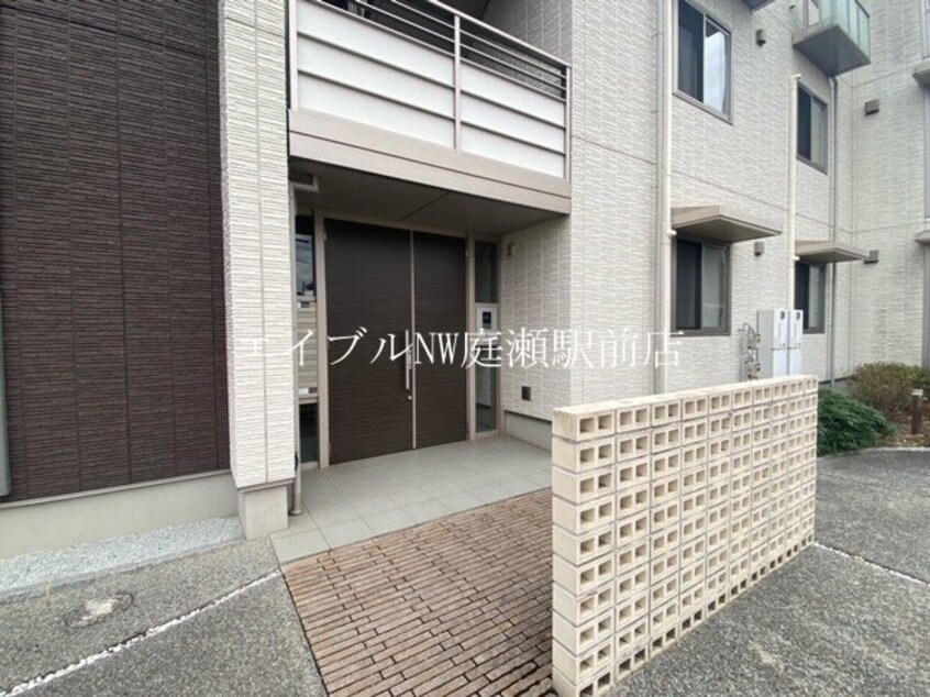  リーオグレイス