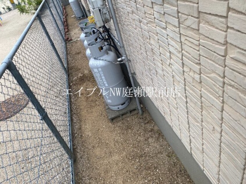 フェリーチェ
