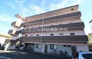 レプトン大福の外観