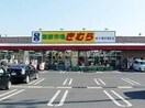 新鮮市場きむら四十瀬球場前店(スーパー)まで539m サンフェリーチェⅡ
