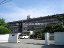 倉敷市立郷内中学校(中学校/中等教育学校)まで329m 林戸建　東棟