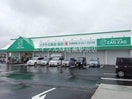 ザグザグ白石店(ドラッグストア)まで283m スカイコート