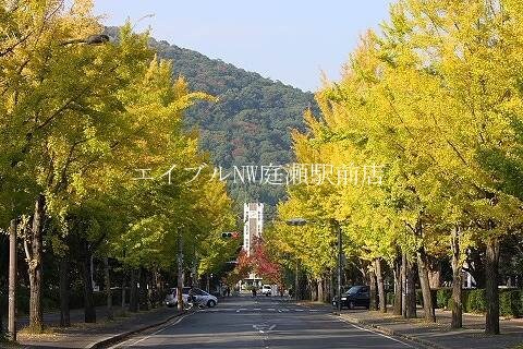 岡山大学 津島キャンパス(大学/短大/専門学校)まで1136m プレアール南方I