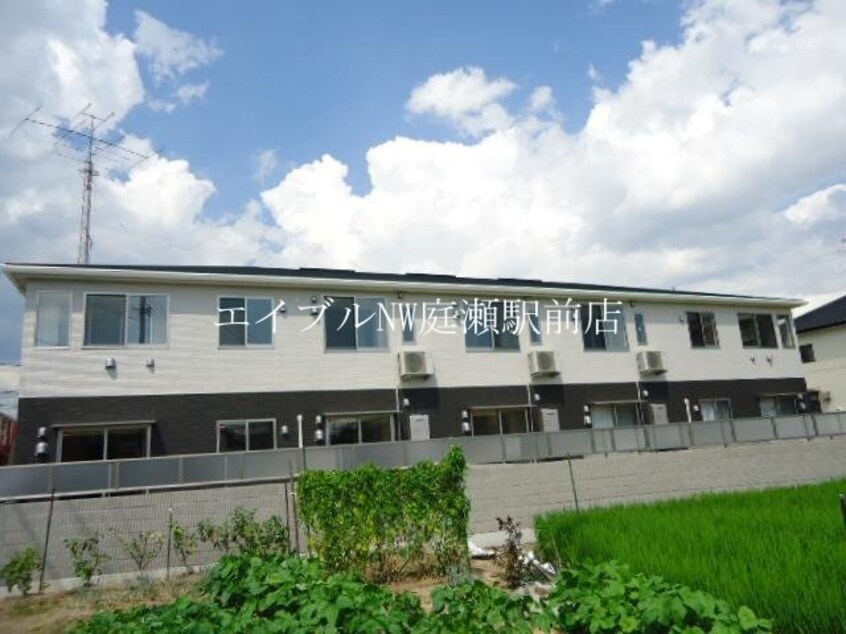  プリズムグレイス