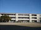 玉野市立田井小学校(小学校)まで848m ミッドタウン玉野　九号館