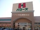 ハローズ花尻店(スーパー)まで813m ファンコーポレーションＡ