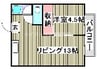 コーポ天神 1LDKの間取り