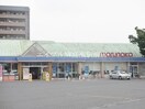 山陽マルナカ老松店(スーパー)まで350m フリージア倉敷