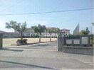 倉敷市立新田中学校(中学校/中等教育学校)まで871m パレーシャル足高　１号棟