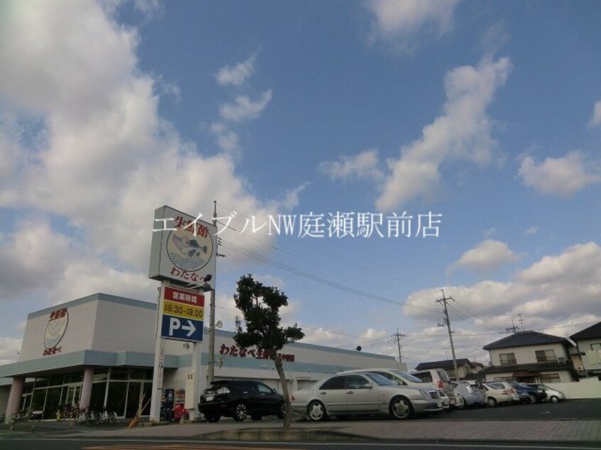 わたなべ生鮮館下中野店(スーパー)まで1171m サンシティ　Ｆ棟