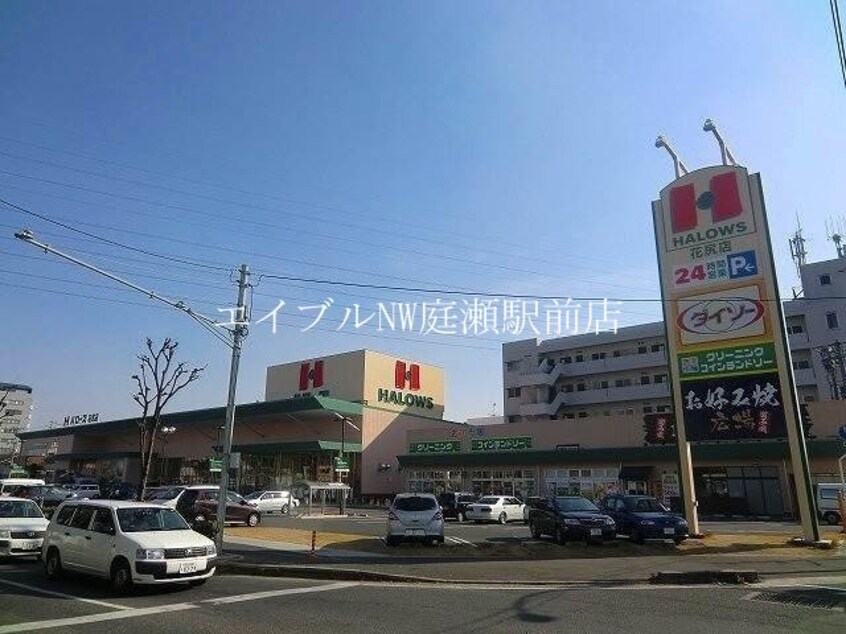 ハローズ花尻店(スーパー)まで510m ブランブロック白石