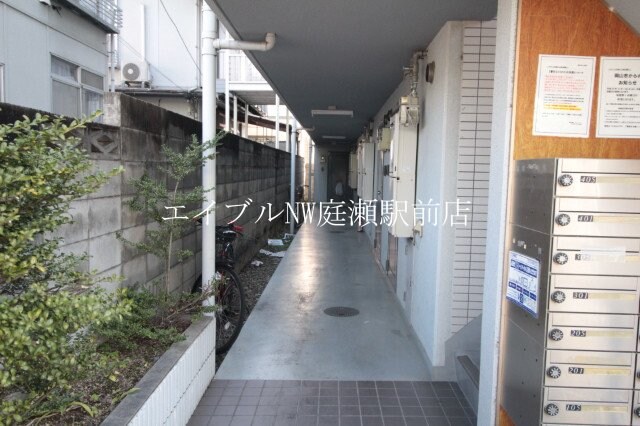  エスペーロ伊島