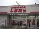 ファッションセンターしまむら下中野店(ショッピングセンター/アウトレットモール)まで1691m カフェテリアワケⅢ