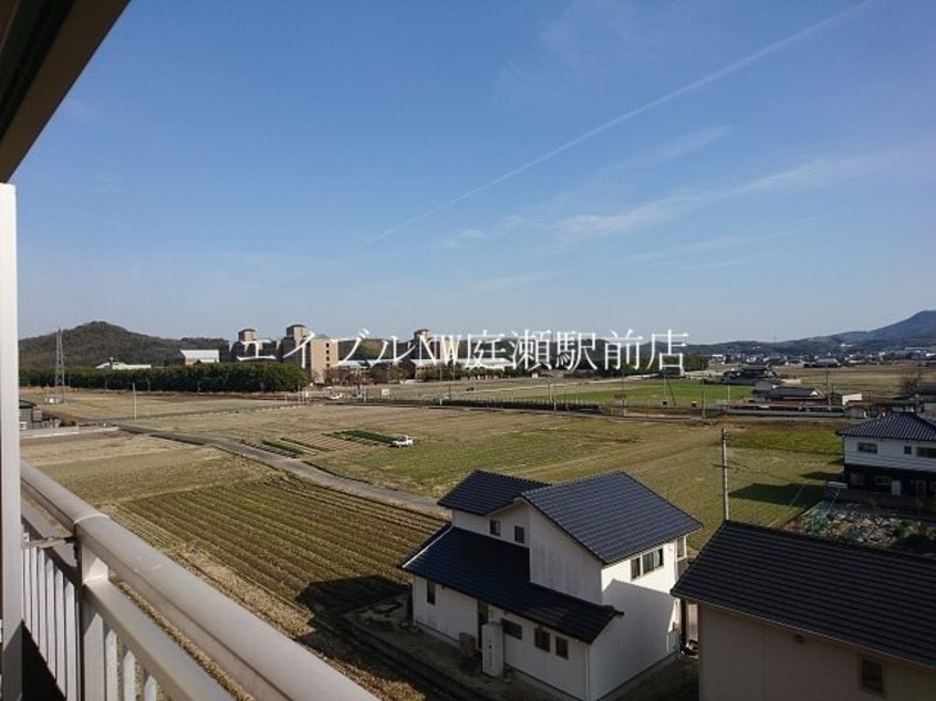  ライフコート