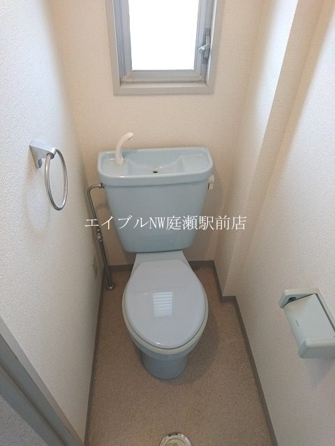 ライフコート