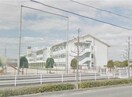 倉敷市立倉敷南小学校(小学校)まで2016m 田中様一戸建て