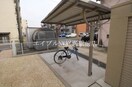  アヴェニール