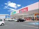 金光薬品庭瀬店(ドラッグストア)まで890m 牧野貸家