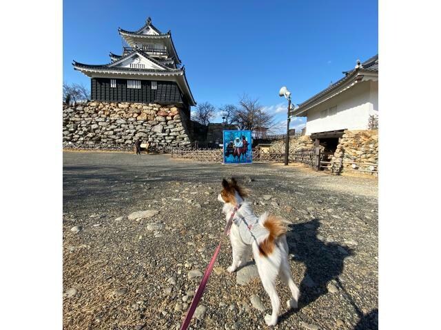 浜松市美術館(美術館/博物館)まで1245m ゴールド・コースト