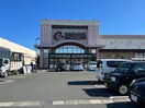 遠鉄ストアフードワン南浅田店(スーパー)まで1313m 東海道本線/浜松駅 バス10分春日町下車:停歩4分 2階 築16年