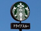 スターバックスコーヒー浜松新津町店(その他飲食（ファミレスなど）)まで275m SCHLOSS新津