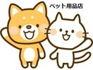 ペット用品店(ディスカウントショップ)まで650m※ペッツゴーディスワン 東海道本線/浜松駅 バス17分小沢渡鉄工団地下車:停歩3分 2階 築39年