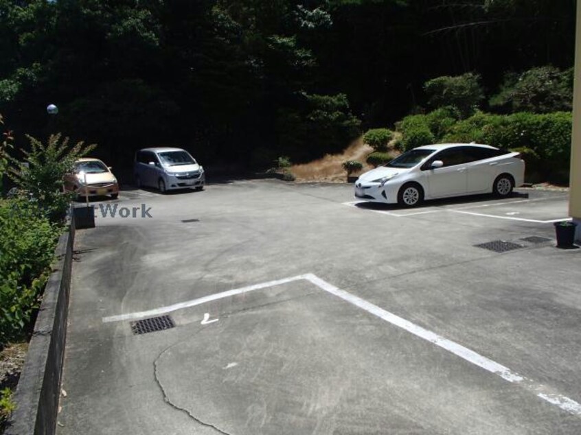  グリーン･マルツ