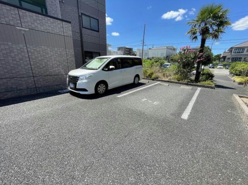  サウスフェザント
