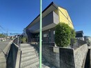  セレニール諸の木