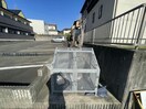  セレニール諸の木