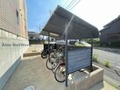  レザン　ブライド